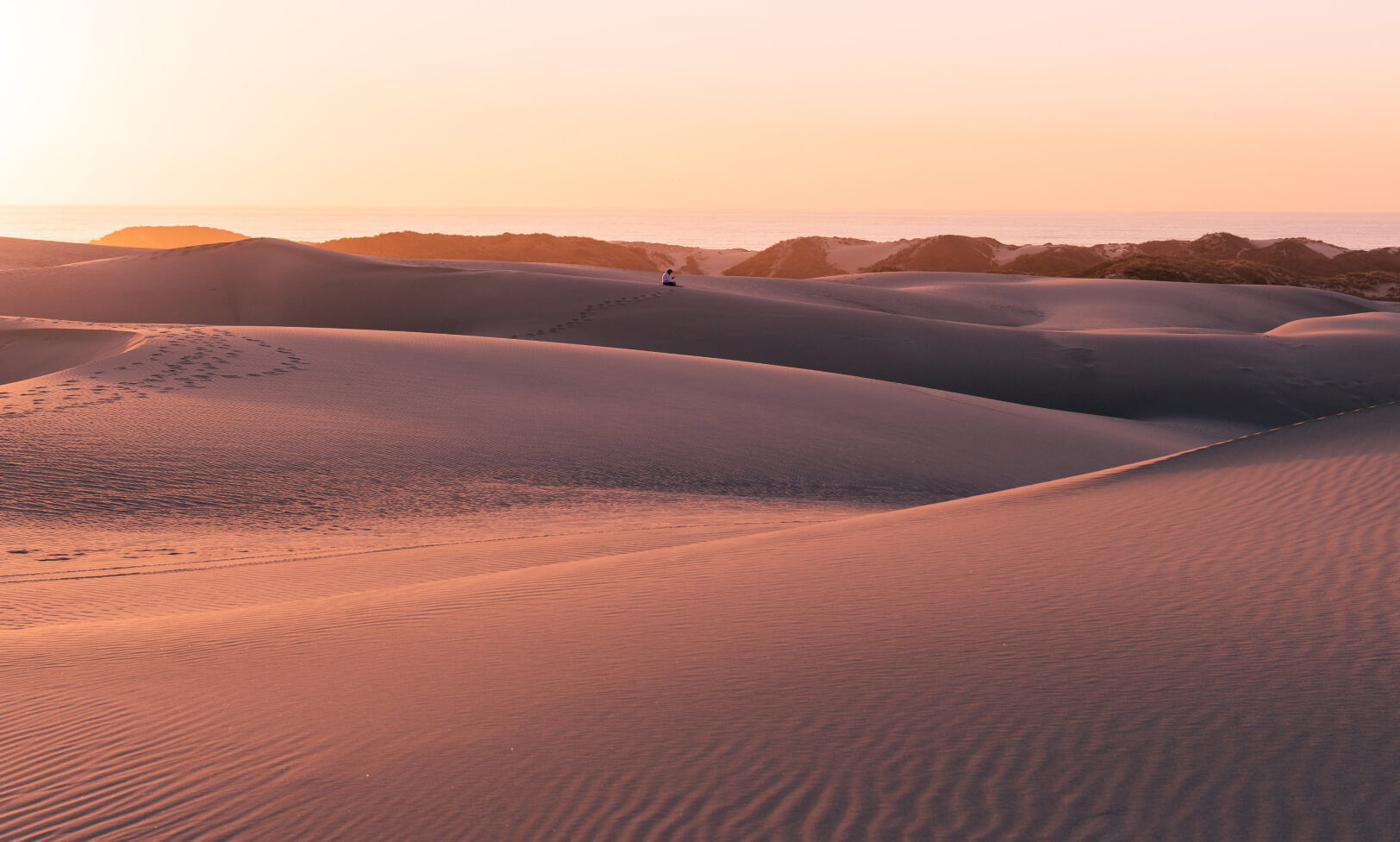 Photo of a desert landscape.